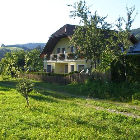 Ferienhaus Mehlhartl Tamsweg Ngoại thất bức ảnh